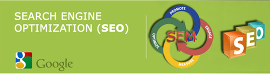 Seo Nedir ?