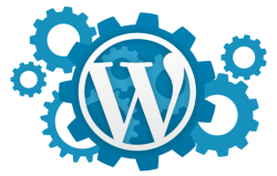 wordpress eklentiler