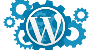 WordPress Faydalı 5 Seo Eklentisi