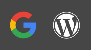 WordPress Hızlı İndex Alma Yöntemi