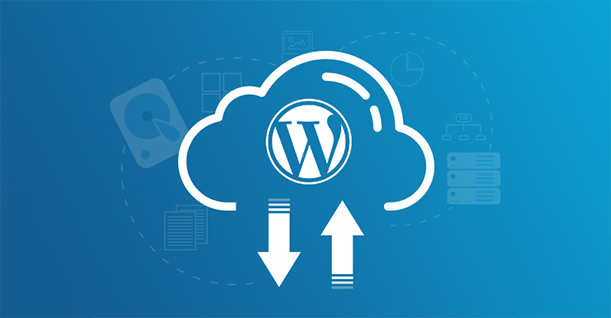 WordPress Site Yedekleme Taşıma