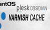 Plesk Varnish Cache Kurulumu Plesk Varnish Cache Kurulumu