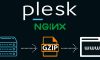 Plesk sunucusunda nginx gzip sıkıştırmasını etkinleştirme