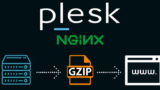 plesk gzip aktifetme