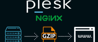 plesk gzip aktifetme