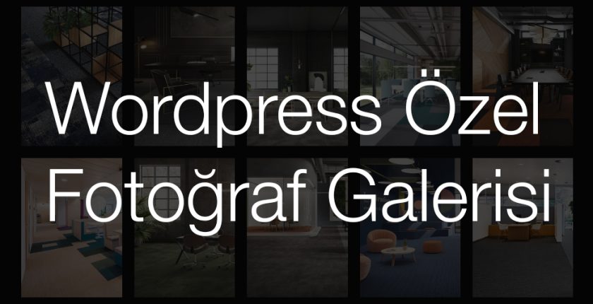 Advanced Custom Fields Eklentisi İle Gelişmiş Fotoğraf Galerisi Yapmak