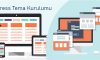 WordPress Tema Kurulumu