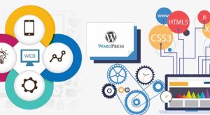 WordPress Web Tasarım WordPress Web Tasarım