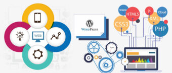 wordpress web tasarım