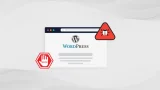 wordpress malware virus temizleme