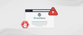 wordpress malware virus temizleme